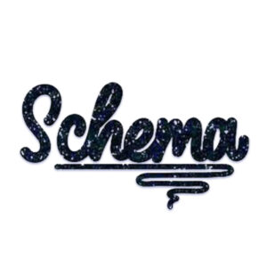 Schema Collective